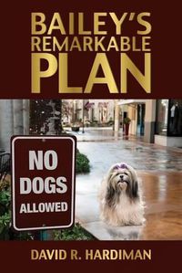 Cover image for Bailey's Remarkable Plan