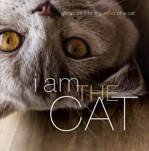 Cover image for I Am the Cat