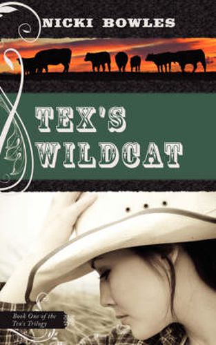 Cover image for Tex's Wildcat