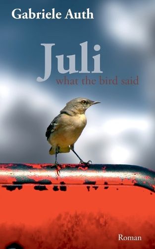 Cover image for Juli