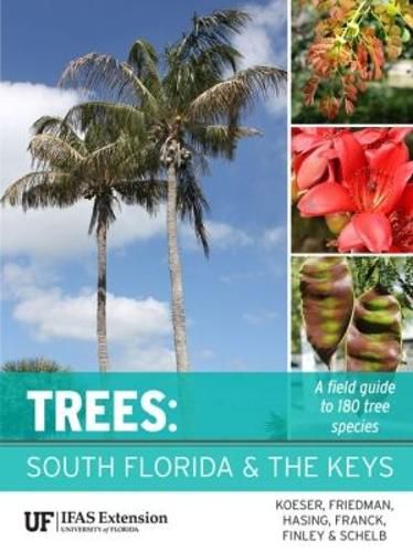 Cover image for Trees: South Florida and the Keys