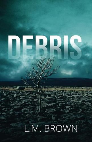 Debris