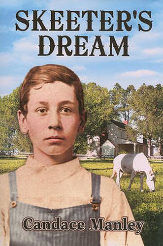 Cover image for Skeeter's Dream