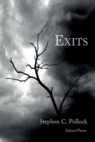 Cover image for Exits