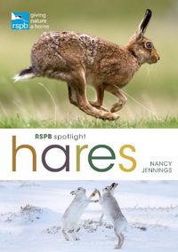 Cover image for RSPB Spotlight Hares