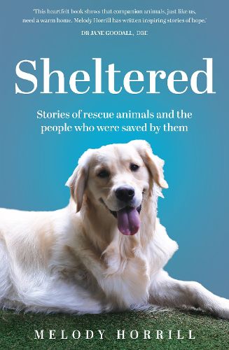 Cover image for Sheltered