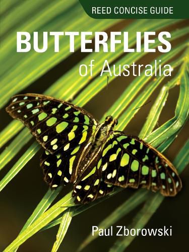 Reed Concise Guide to Butterflies of Australia: Reed Concise Guide