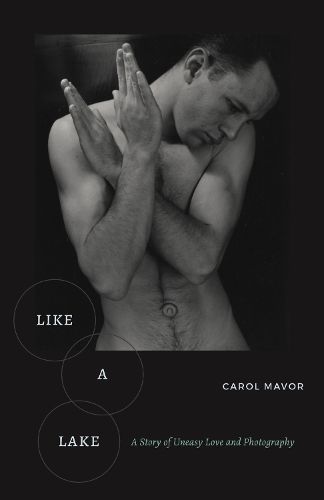 Cover image for Like a Lake