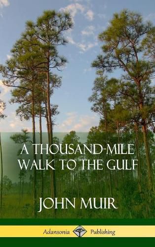 Cover image for A Thousand-Mile Walk to the Gulf (Hardcover)