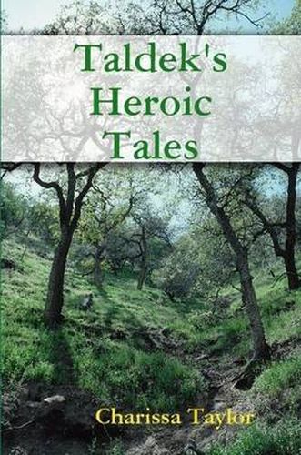 Cover image for Taldek's Heroic Tales