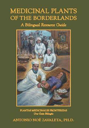 Cover image for Medicinal Plants of the Borderlands
