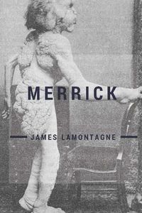 Cover image for Merrick