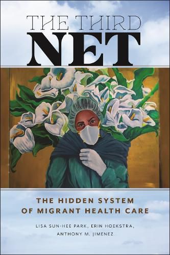 Cover image for The Third Net