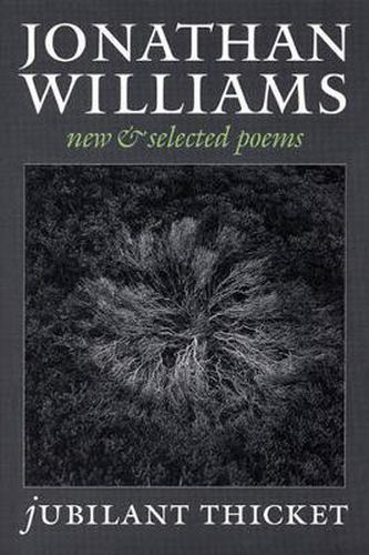 Cover image for Jubilant Thicket: New and Selected Poems