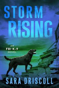 Cover image for Storm Rising