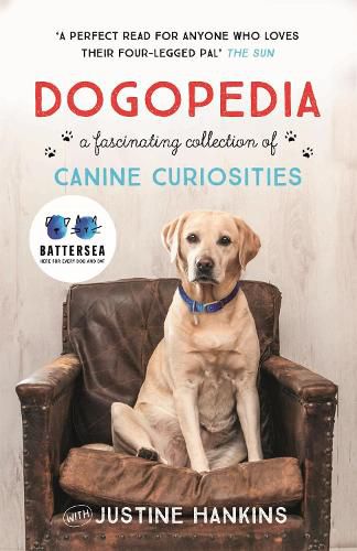 Cover image for Dogopedia: A Compendium of Canine Curiosities