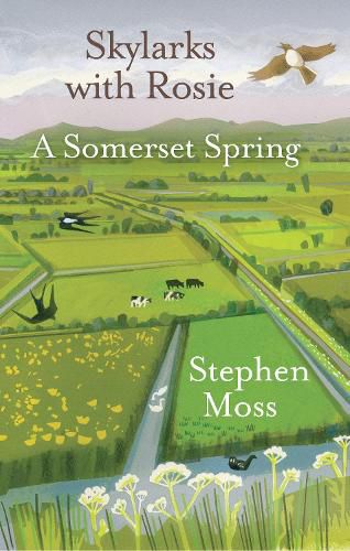 Skylarks with Rosie: A Somerset Spring