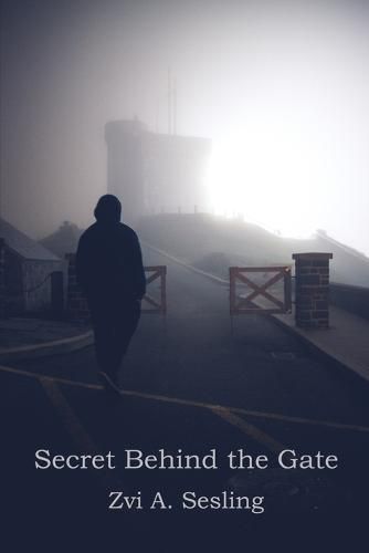 Cover image for Secret Behind the Gate