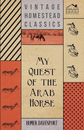 Cover image for My Quest Of The Arab Horse