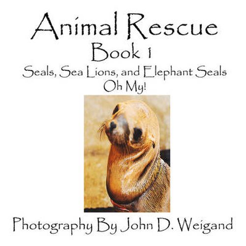 Cover image for Animal Rescue, Book 1, Seals, Sea Lions And Elephant Seals, Oh My!