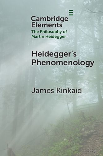 Cover image for Heidegger's Phenomenology