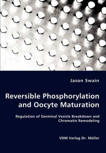 Cover image for Reversible Phosphorylation and Oocyte Maturation - Regulation of Germinal Vesicle Breakdown and Chromatin Remodeling