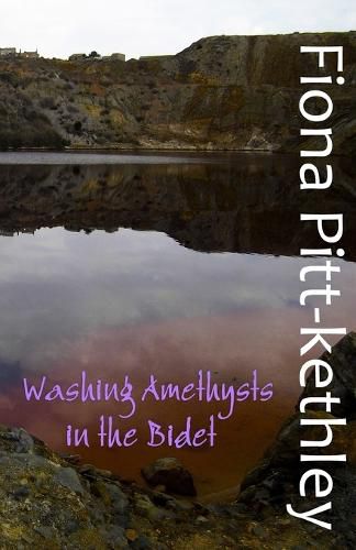 Cover image for Washing Amethysts in the Bidet