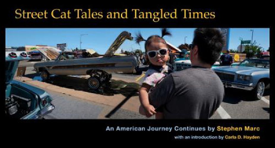 Cover image for Street Cat Tales and Tangled Times: An American Journey Continues