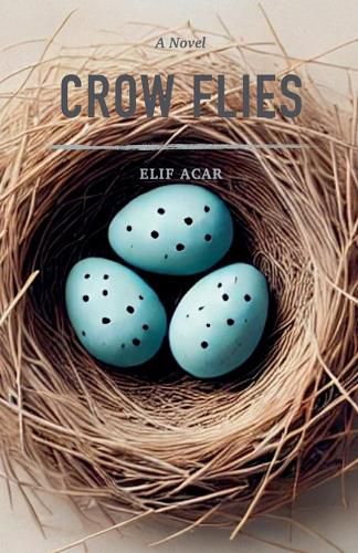Cover image for Crow Flies