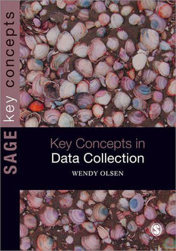 Cover image for Data Collection: Key Debates and Methods in Social Research