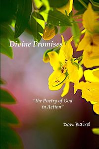 Cover image for Divine Promises