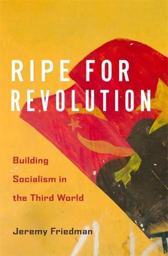 Cover image for Ripe for Revolution: Building Socialism in the Third World