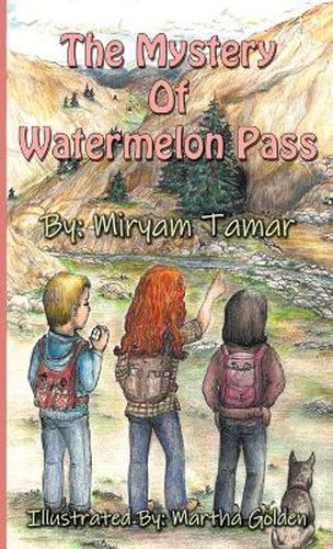 Cover image for The Mystery of Watermelon Pass