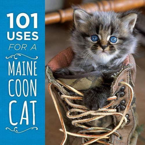 Cover image for 101 Uses for a Maine Coon Cat