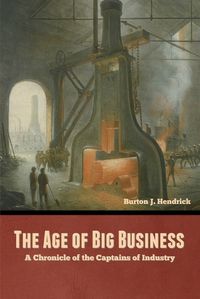 Cover image for The Age of Big Business