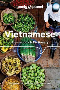 Cover image for Lonely Planet Vietnamese Phrasebook & Dictionary