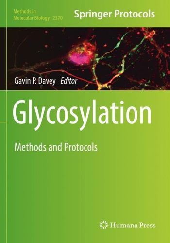 Cover image for Glycosylation: Methods and Protocols