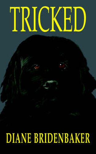 Cover image for Tricked