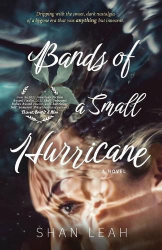 Cover image for Bands of a Small Hurricane