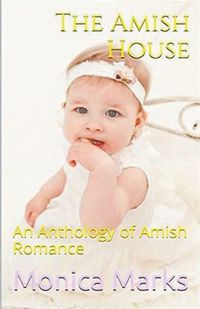 Cover image for The Amish House