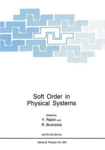 Cover image for Soft Order in Physical Systems