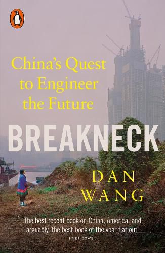 Cover image for Breakneck