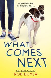 Cover image for What Comes Next