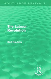 Cover image for The Labour Revolution