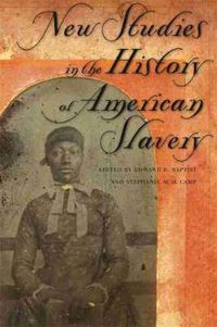 Cover image for New Studies in the History of American Slavery