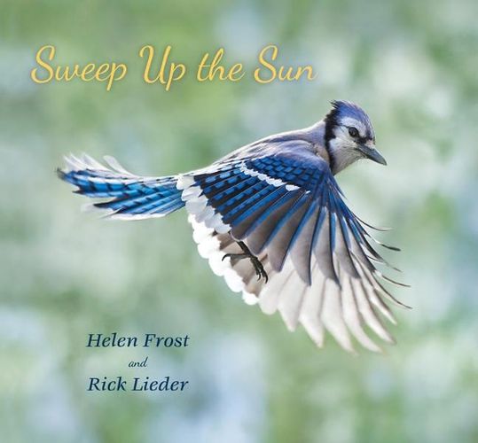 Cover image for Sweep Up the Sun