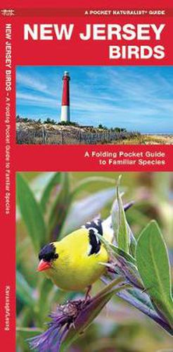 Cover image for New Jersey Birds: A Folding Pocket Guide to Familiar Species