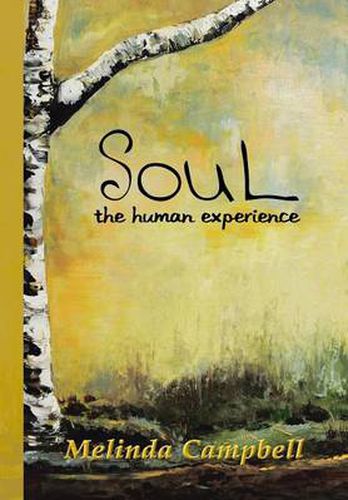 Cover image for Soul: The Human Experience