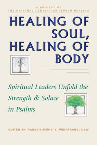 Cover image for Healing of Soul, Healing of Body: Spiritual Leaders Unfold the Strength & Solace in Psalms