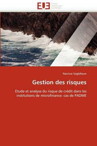 Cover image for Gestion Des Risques